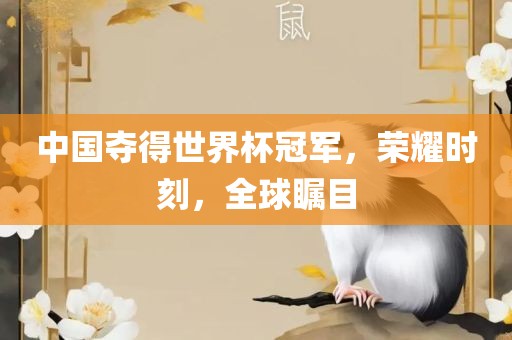 中国夺得世界杯冠军，荣耀时刻，全球瞩目