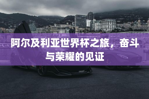 阿尔及利亚世界杯漯河市盈旭机械设备有限公司之旅，奋斗与荣耀的见证