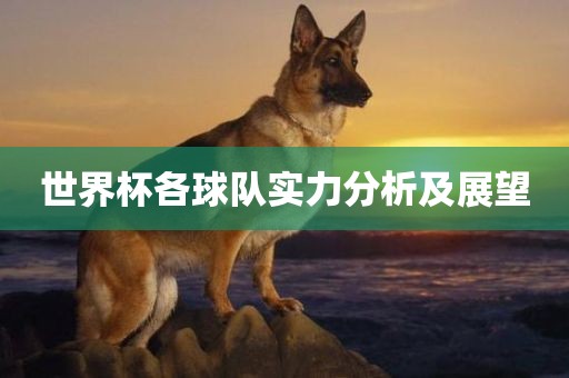 世界杯各球队实力分析及展望漯河市盈旭机械设备有限公司