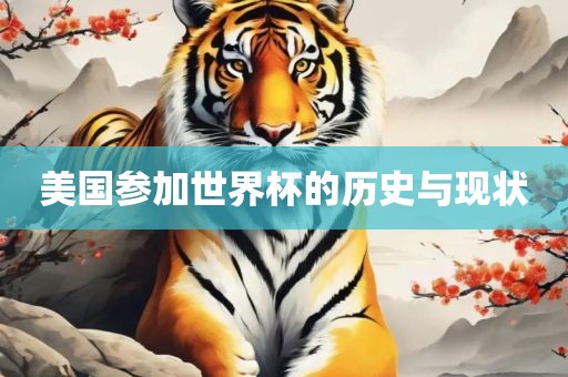 美国参加世界杯的历史与现状漯河市盈旭机械设备有限公司