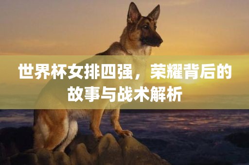 世界杯女排四强，荣耀背后的故事与战术解析漯河市盈旭机械设备有限公司
