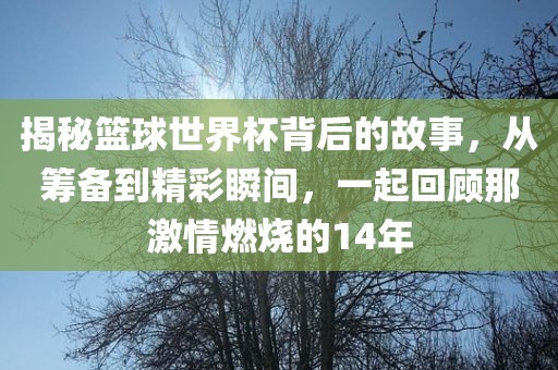揭秘篮球世界杯背后的故事，从筹备到精彩瞬间，一起回顾那激情燃烧的14年