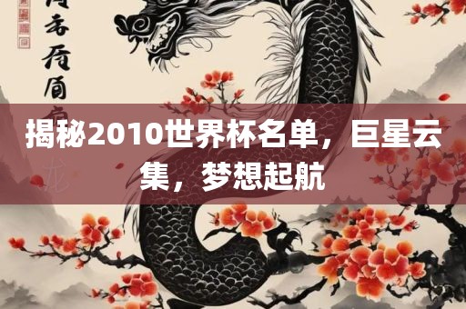 揭秘2010世界杯名单，巨星云集，梦想起航