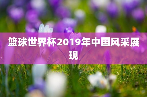 篮球世界杯2019年中国风采展现