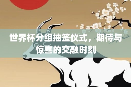 世界杯分组抽签仪式，期待与惊喜的交融时刻漯河市盈旭机械设备有限公司