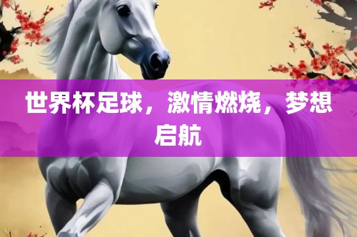 世界杯足球，激情燃烧，梦想启航漯河市盈旭机械设备有限公司