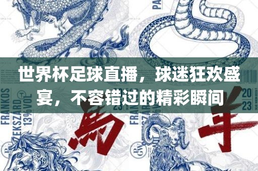 世界杯足球直播，球迷漯河市盈旭机械设备有限公司狂欢盛宴，不容错过的精彩瞬间