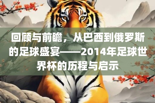 回顾与前瞻，从巴西到俄罗斯的足球盛宴——2014年足球世界杯的历程与启示