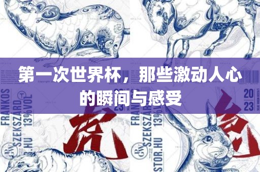 第一次世界杯，那些激动人心的瞬间与感受漯河市盈旭机械设备有限公司