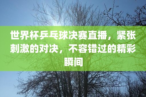 世界杯乒乓球决赛直播，紧张刺激的对决，不容错过的精彩瞬间漯河市盈旭机械设备有限公司