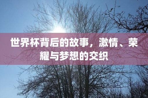 世界杯背后的故事，激情、荣耀与梦想漯河市盈旭机械设备有限公司的交织