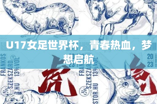U17女足世界杯，青春热血，梦想启航