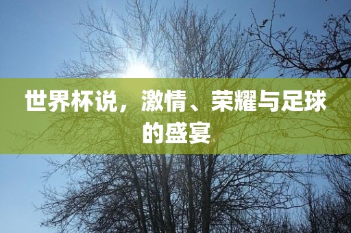 世界杯说，激情、荣耀与足球的盛宴漯河市盈旭机械设备有限公司