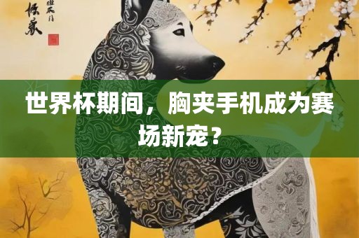 世界杯期间，胸夹手机成为赛场新宠？漯河市盈旭机械设备有限公司