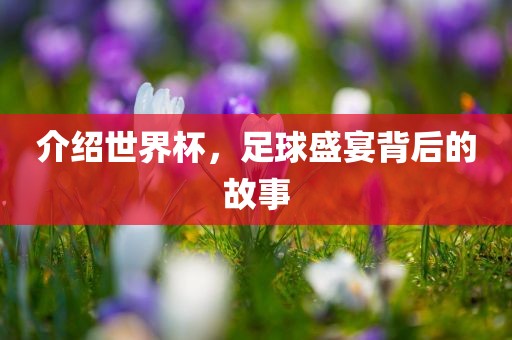 介绍世界杯，足球盛宴背后的故事漯河市盈旭机械设备有限公司