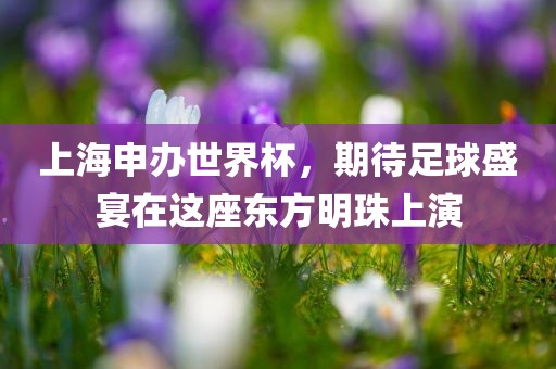 上海申办世界杯，期待足球盛宴在这座东方明珠上演漯河市盈旭机械设备有限公司