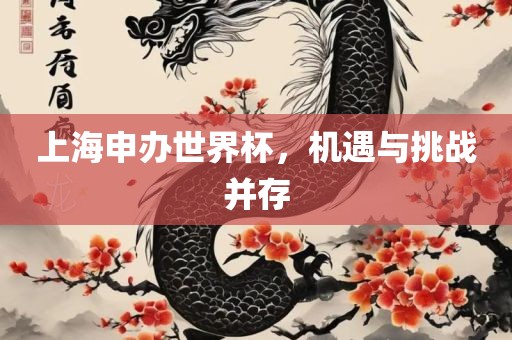 上海申办世界杯，机遇与挑战并存