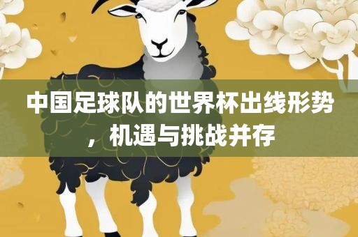 中国足球队的世界杯出线形势，机遇与挑战并存