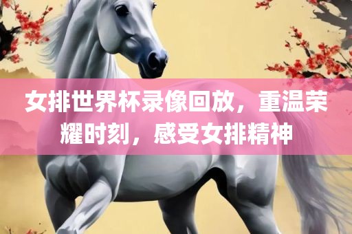 女排世界杯录像回放，重温荣耀时刻，感受女排精神