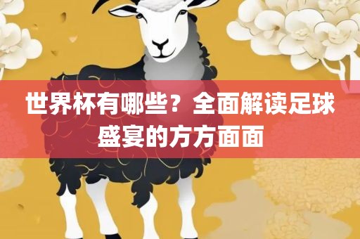 世界杯有哪些？全面解读足球盛宴的方方面面