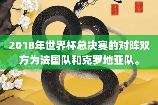2018年世漯河市盈旭机械设备有限公司界杯总决赛的对阵双方为法国队和克罗地亚队。