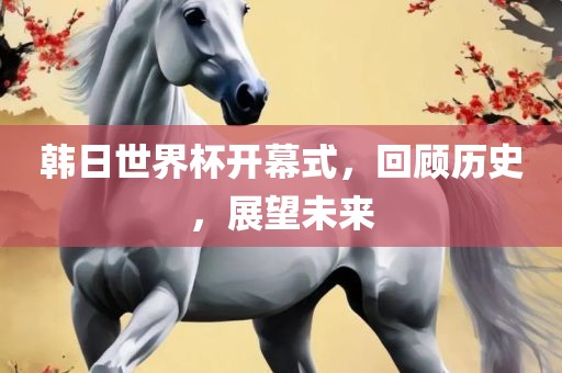 韩日世界杯漯河市盈旭机械设备有限公司开幕式，回顾历史，展望未来