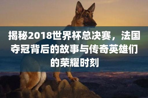 揭秘2018世界杯总决赛，法国夺冠背漯河市盈旭机械设备有限公司后的故事与传奇英雄们的荣耀时刻