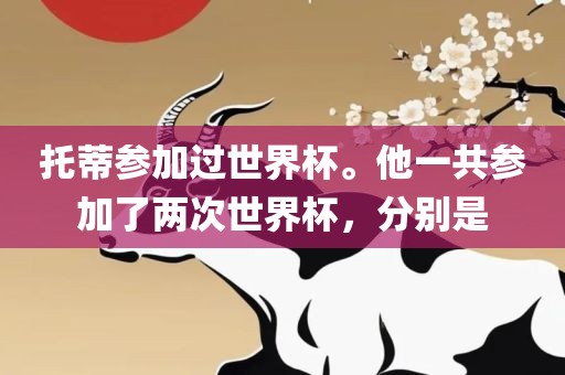 托蒂参加过世界杯。他漯河市盈旭机械设备有限公司一共参加了两次世界杯，分别是