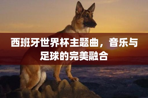 西班牙世界杯主题曲，音乐与足球的完美融合