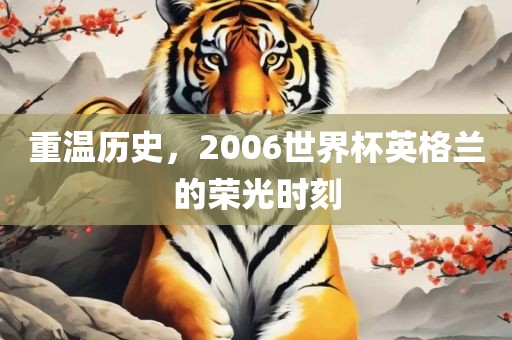 重温历史，2006世界杯英格兰的荣光时刻漯河市盈旭机械设备有限公司