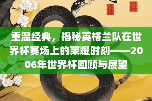 重温经典，揭秘英格兰队在世界杯赛场上的荣耀时刻——2006年世界杯回顾与展望