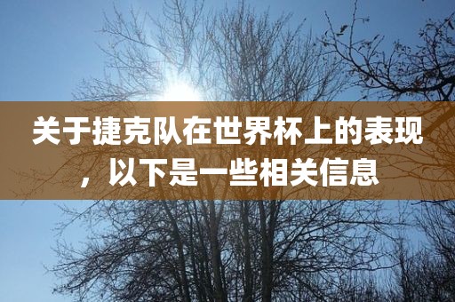 关于捷克队在世界杯上的表现，以下是一些相关信息漯河市盈旭机械设备有限公司