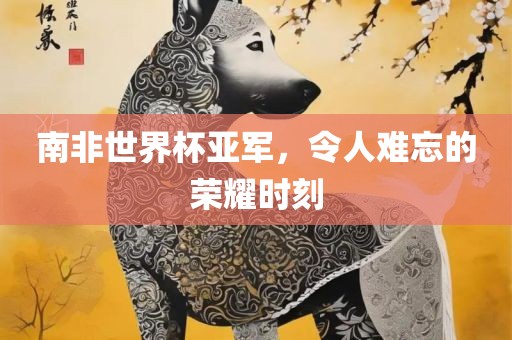 南非世界杯亚军，令人难忘的荣耀时刻漯河市盈旭机械设备有限公司