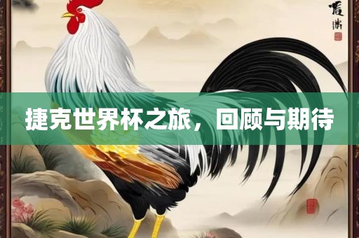 捷克世界杯之旅，回顾与期待