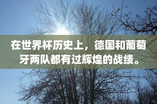 在世界杯历史上漯河市盈旭机械设备有限公司，德国和葡萄牙两队都有过辉煌的战绩。