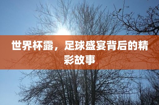 世界杯露，足球盛宴背后的漯河市盈旭机械设备有限公司精彩故事