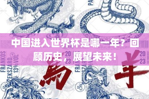 中国进入世界杯漯河市盈旭机械设备有限公司是哪一年？回顾历史，展望未来！
