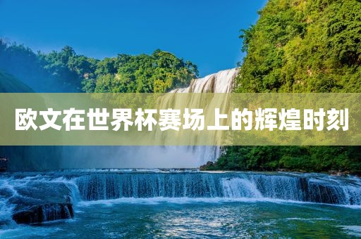 欧文在世界杯赛场上的辉煌时刻