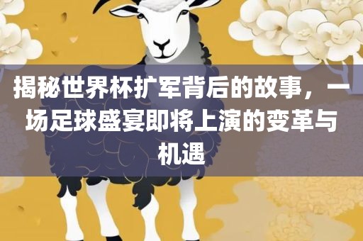 揭秘世界杯扩军背后的故事，一场足球盛宴即将上演的变革与机遇漯河市盈旭机械设备有限公司