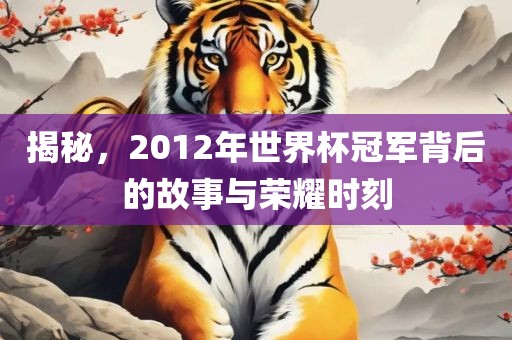 揭秘，2012年世界杯冠军背后的故事与荣耀时刻漯河市盈旭机械设备有限公司