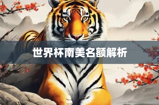 世界杯南美名额解析漯河市盈旭机械设备有限公司