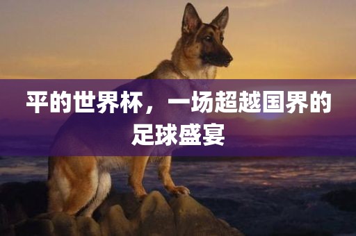 平的世界杯，一场超越国界的足球盛宴漯河市盈旭机械设备有限公司