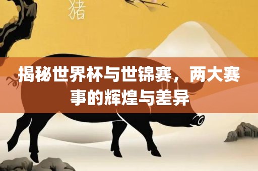 揭秘世界杯与世锦赛，两大赛事的辉煌与差异漯河市盈旭机械设备有限公司