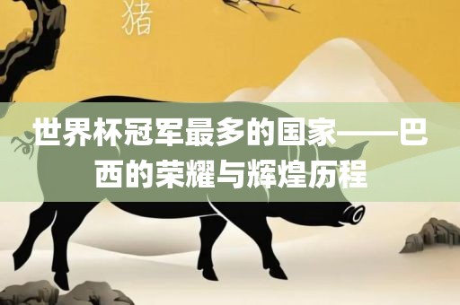 世界杯冠军最多的国家——巴西的荣耀与辉煌历程漯河市盈旭机械设备有限公司