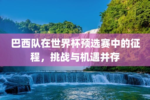 巴西队在世界杯预选赛中的征程，挑战与机遇并存