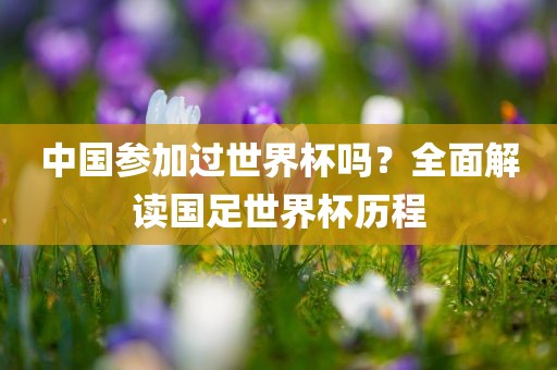 中国参加过世界杯吗？全面解读国足世界杯历程漯河市盈旭机械设备有限公司