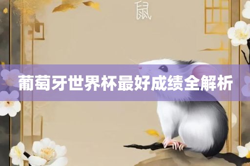 葡萄牙漯河市盈旭机械设备有限公司世界杯最好成绩全解析