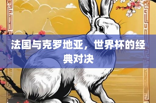 法国与克罗地亚，世界杯的经典对决漯河市盈旭机械设备有限公司