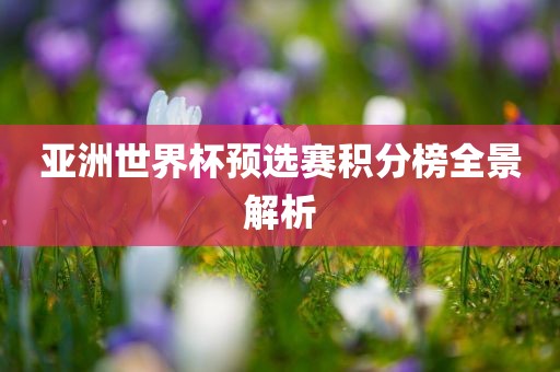 亚洲世界杯预选赛积分榜全景解析漯河市盈旭机械设备有限公司