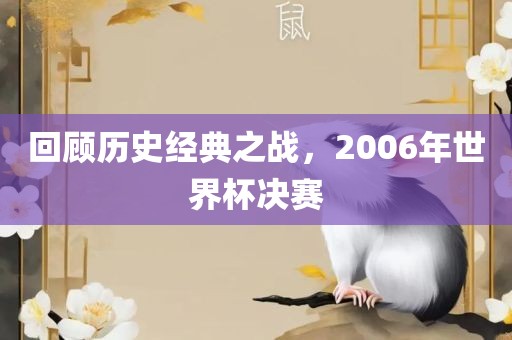 回顾历史经典之战，2006年世界杯决赛漯河市盈旭机械设备有限公司